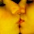 :iconimnotwasted: