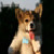 :iconimonmyown: