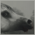 :iconimp-studios: