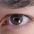 :iconimpalaburn: