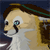 :iconimperfect-ion: