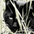 :iconimperfectclone19: