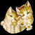 :iconimperialenigma: