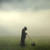 :iconimpression-soleil: