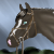 :iconimprisoned-acres: