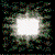 :iconimpureinfection: