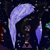 :iconimthatstalk3r:
