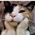 ImVoxon :iconimvoxon: