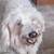 :iconin-a-nutchelle: