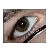 :iconin-a-reverie: