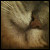 :iconin-a-small-package: