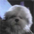 :iconin-fur-no: