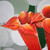 :iconin-life-studio: