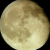 :iconin-the-meadow: