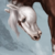 :iconin-times-of-change: