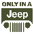 :iconin2-the-wild: