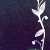 :iconina0012: