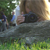 :iconinacharmingflight: