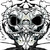 :iconinatipro: