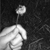 :iconincarcerous: