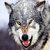 :iconincendiadragon: