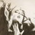 :iconinch85: