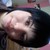 :iconincidream: