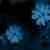 :iconincolora: