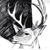 :iconInconnus: