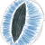 :iconinconspicularity: