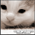 :iconincy247: