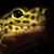:iconindecysive: