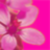 :iconindeedous: