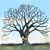 :iconindefinitelyyours: