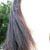 :iconindegree: