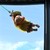 :iconinderzify: