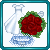:iconIndicolite: