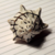:iconindie-scarf: