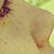 :iconindiehope: