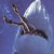 :iconIndifferentSociety: