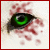 :iconindigo-akela:
