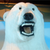 :iconindigo-dingo: