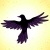 :iconindigoblackbird: