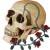 :iconindigowing: