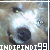 :iconindipindi99: