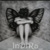 :iconindira85: