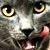 :iconindovinare: