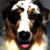 :iconindu-muc: