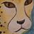 :iconIndytheOdd: