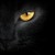 :iconinebg: